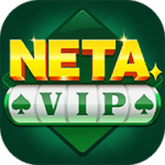 NETA VIP
